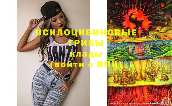 ПСИЛОЦИБИНОВЫЕ ГРИБЫ Дмитров