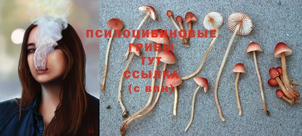 mdma Дмитриев
