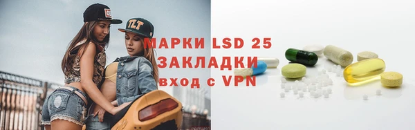 ПСИЛОЦИБИНОВЫЕ ГРИБЫ Дмитров