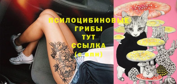 первитин Дмитровск