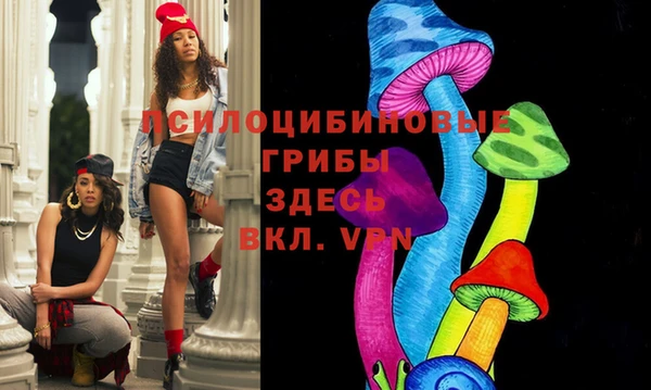 mdma Дмитриев