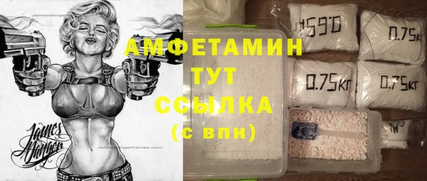 ПСИЛОЦИБИНОВЫЕ ГРИБЫ Дмитров