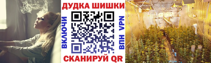 МАРИХУАНА сатива  Купить закладки  Болотное 